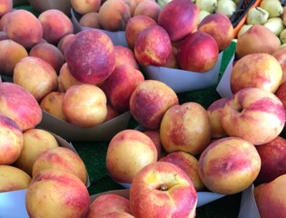 Fresh Ripe Nectarines at Farmers Market. Mediterranean fruits. Red pinkish yellowy fruits.
