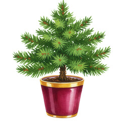 Small potted evergreen tree with vibrant green leaves and brown soil  