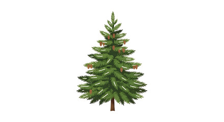 Lush green coniferous fir tree illustration with detailed layered branches and a visible brown trunk.