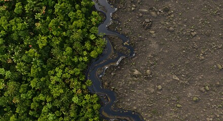 Visualizing biodiversity loss, a dark, metallic oil slick consumes a vibrant rainforest floor, creating a stark and dramatic line between colorful life and lifeless grey barrenness