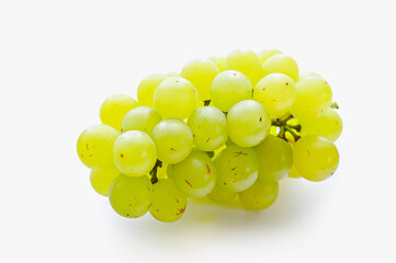 ハニービーナス