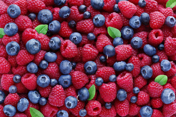 Juicy ripe raspberries and blueberries with raspberry leaves as background, top view.