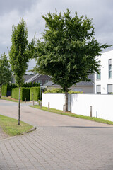 Fototapeta premium Quiet residential street with young trees, paved road and modern white house under cloudy summer sky