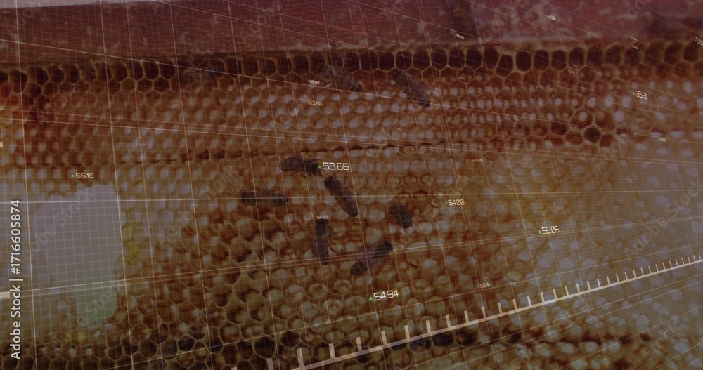 Aufkleber showing honeycomb scanning on panel with overlaid grid, data panel, numeric data and scale bar