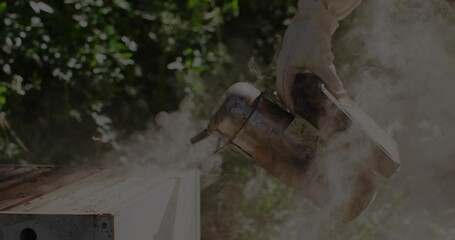 Holding gloved hand gripping metal smoker emitting smoke over wooden hive box in garden, copy space