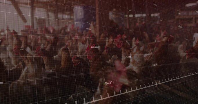 Naklejki Standing brown chickens huddling in poultry barn, with digital grid overlay and numeric labels