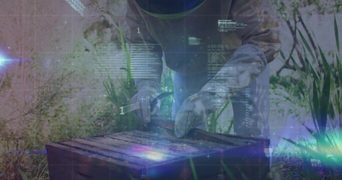 Leaning beekeeper wearing full protective suit and mesh veil, handling wooden beehive box in apiary