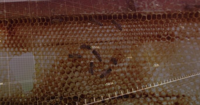 Showing honeycomb scanning on panel with overlaid grid, data panel, numeric data and scale bar - Powered by Adobe