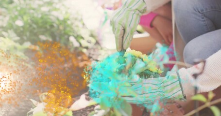 Planting yellow flowers mother and daughter arranging soil in backyard planter box wearing gloves