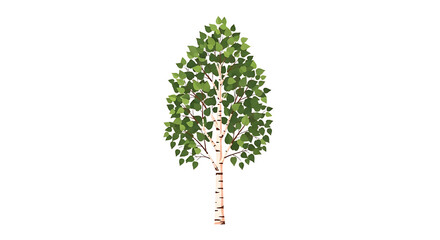 Fototapeta premium Stylized illustration of a vibrant greenleafed birch tree with distinctive white bark.