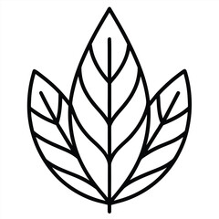 black and white leaves