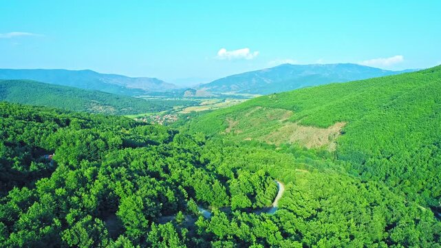 Remote landscape, beautiful green forest, blue sky, summer day
