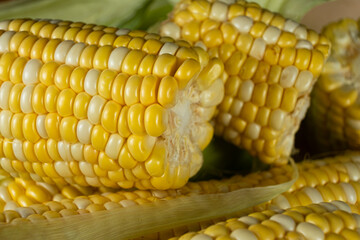 Detailed macro of fresh raw corn cobs