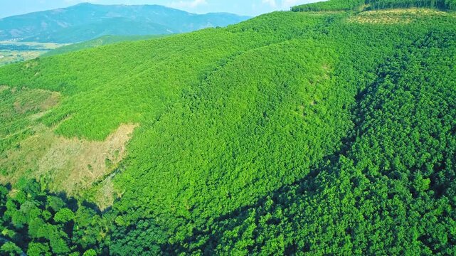 Mountain&rsquo;s scenery, green lush forest, drone motion
