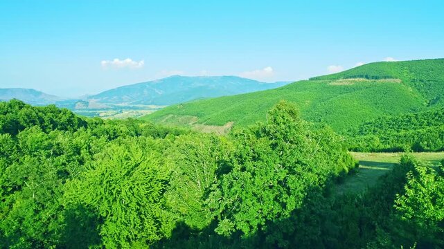 Drone flight over green nature, summer day
