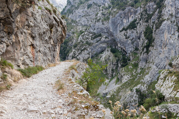 Sendero tallado en verticales paredes de roca.