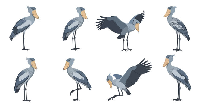 A collection of illustrated grey Shoebill storks in various dynamic poses, showcasing their large, distinctive beaks and wings.