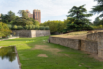 La Taconera Park, Pamplona, Navarre, Spain. View of deer and birds at the lake in the ancient Roman stone moats.