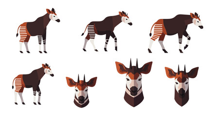 Collection of stylized Okapi illustrations featuring striped legs, various poses, and detailed head portraits.