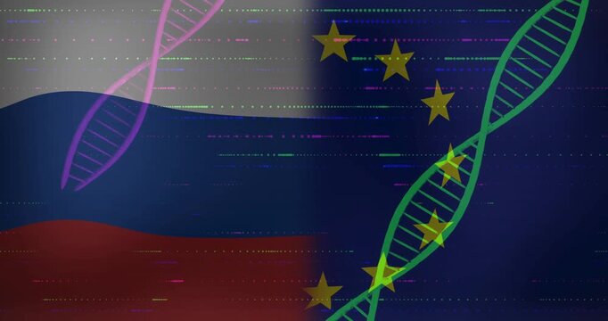 Fading pink and green DNA strands drifting on Russian, EU flags glitch looping comparing genetics - Powered by Adobe