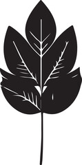 Black and white vector graphic depicting a plant leaf. The leaf has a pointed stem and toothed edges.
