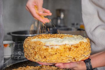 Cream Cake Decorated with Sweet Crumb Topping