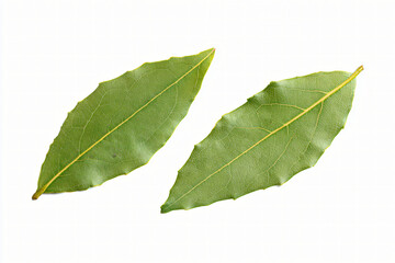Fototapeta premium Two bay leaves isolated on white background, natural cooking spice and aromatic herb