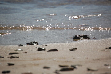 Sardinia sea and beach, Sardegna italia
