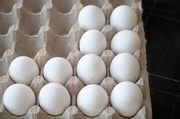Fresh Chicken Eggs in Carton Tray