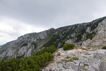 Hütte im Nebel über der Baumgrenze