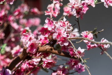 Artificial pink blossoms on branches