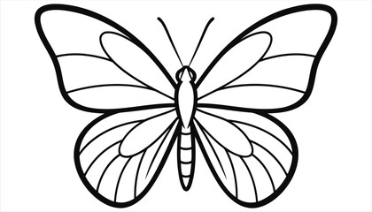 Vector art of elegant butterfly outline illustration, showcasing intricate wing patterns and delicate antennae, perfect for coloring books, educational materials, and naturethemed designs
