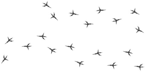 Vector trail print of bird isolated on white background.  Footprint silhouette tracks of Bald eagle. Paw Print. Vector illustration. EPS10.