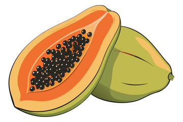 Fresh Papaya Fruit Vector Illustration – Whole and Sliced Tropical Fruit
