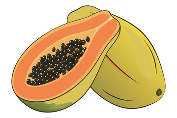 Fresh Papaya Fruit Vector Illustration – Whole and Sliced Tropical Fruit