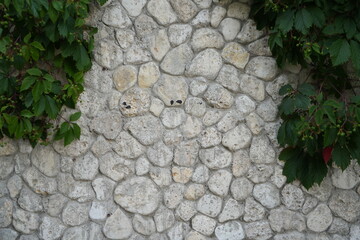 Stone wall texture with round gray rocks and green leaves. Natural background combining rough stone surface and climbing plants.