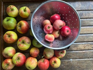 Close up of ripe red and green apples in a colander on a wooden table background the eating and cooking fruit freshly harvest organic allotment orchard garden in Summer interior flat lay view