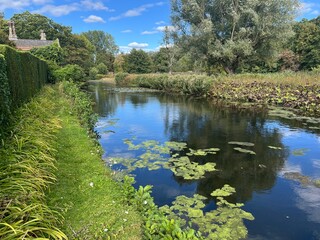 Beautiful rural tranquil landscape reflection of trees in the lake water and lilies pads with blue sky background above countryside view with grass and plants in nature reserve Norfolk. 3d rendering