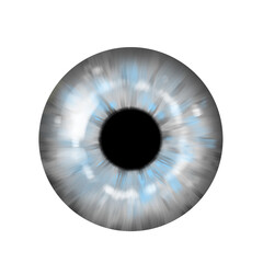 Grey Iris realistic illustration, human eye, isolated on transparent background, png