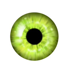 Light Green Iris, Realistic human eye illustration, isolated png, transparent background 