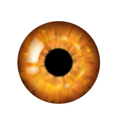 Macro Human Eye, orange iris, realistic illustration, isolated on transparent background, png 