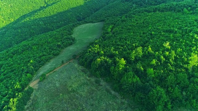 Aerial landscape, beautiful green nature, forest, meadow