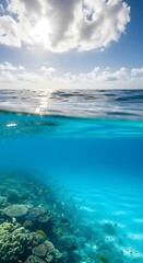 Obraz premium Over under shot of a vibrant coral reef teeming with small fish sunlit ocean surface above