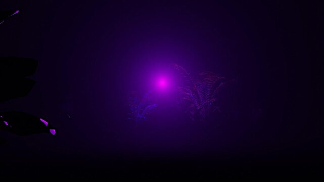 ultraviolet shadow [ eternal jungle flora ]