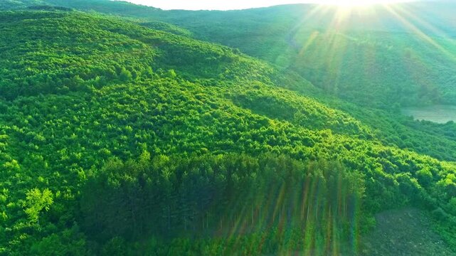 Aerial view, beautiful sunlight over forested mountains slopes, summer day