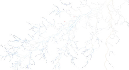 Abstract white branch pattern isolated on transparent background