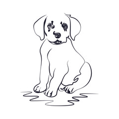 Dog Face Vector Design