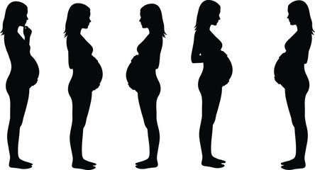 Vector silhouettes of a pregnant woman showing the progression of maternity and pregnancy stages.