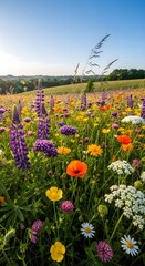 Vibrant wildflower meadow with lupine poppies daisies and buttercups under a clear blue sky