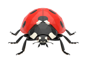 D Ladybird PNG with Red and Black Spots, Realistic Ladybug Transparent Background